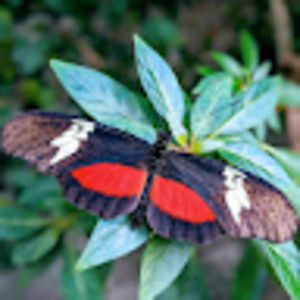 Meet your Posher, Breann